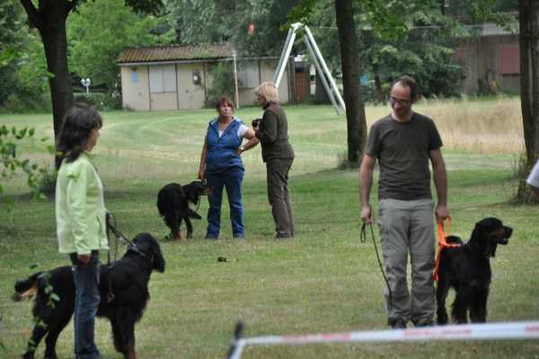 Sommertreffen 2016