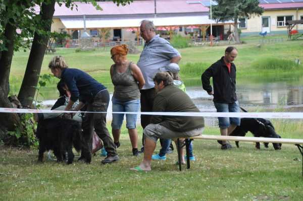 Sommertreffen 2016