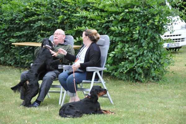 Sommertreffen 2016