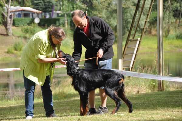 Sommertreffen 2016