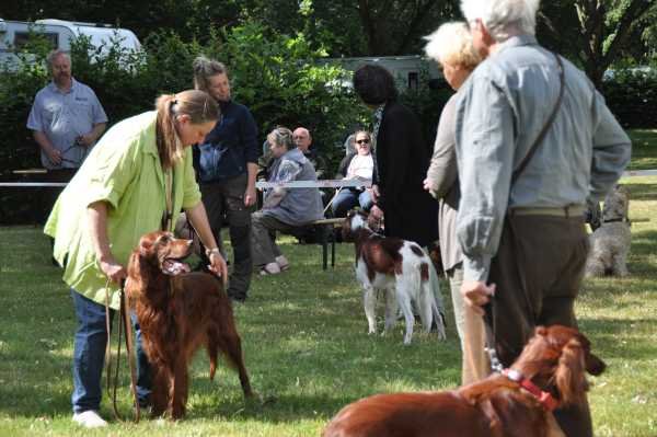 Sommertreffen 2016