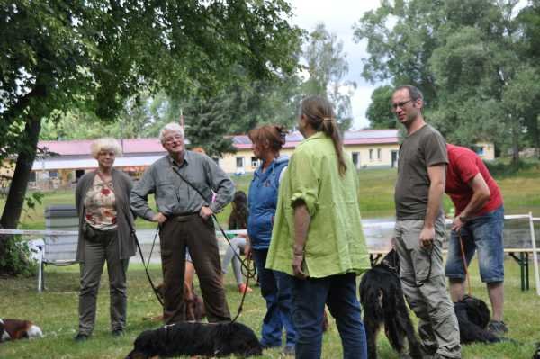 Sommertreffen 2016