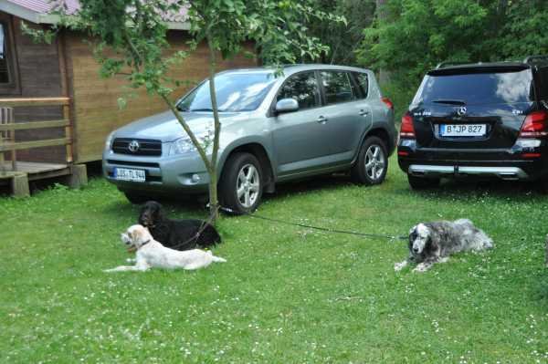 Sommertreffen 2016