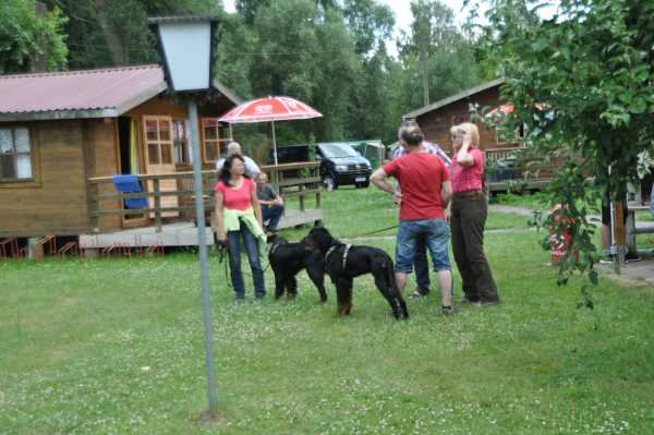 Sommertreffen 2016