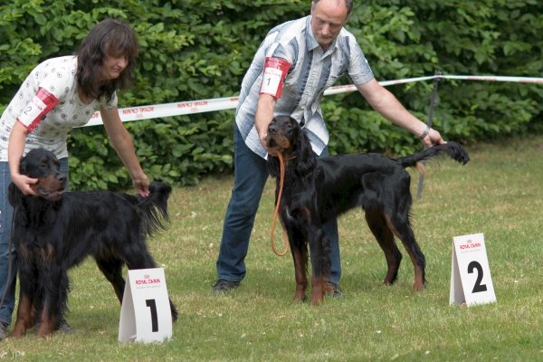 Sommertreffen 2016