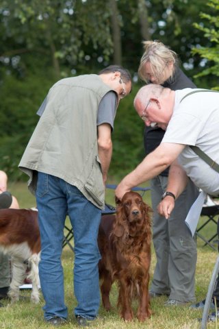 Sommertreffen 2016
