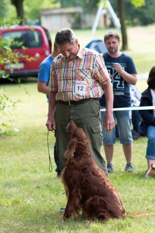 Sommertreffen 2016
