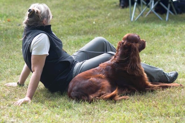 Sommertreffen 2016