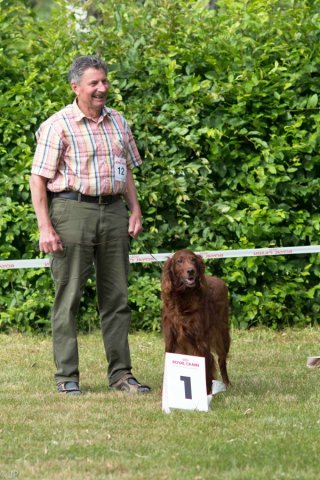 Sommertreffen 2016