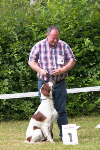 Sommertreffen 2016