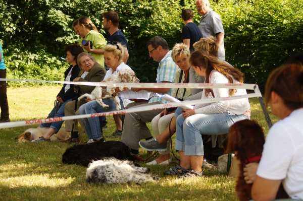 Sommertreffen 2016