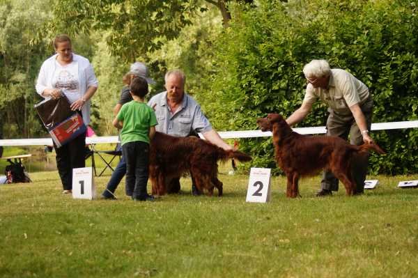 Sommertreffen 2016