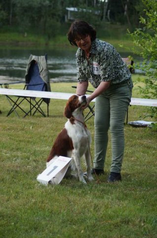 Sommertreffen 2016
