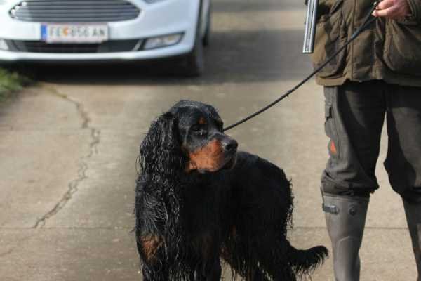 Prüfung Herbst 2016 Hilpoltstein