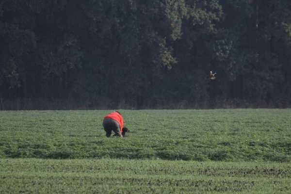 Prüfung Herbst 2016 Hilpoltstein