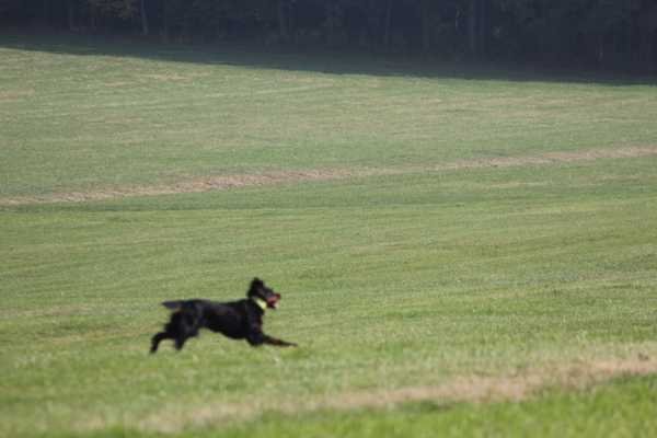 Prüfung Herbst 2016 Hilpoltstein