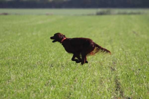 Prüfung Herbst 2016 Hilpoltstein