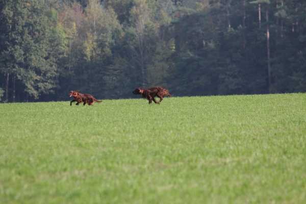 Prüfung Herbst 2016 Hilpoltstein