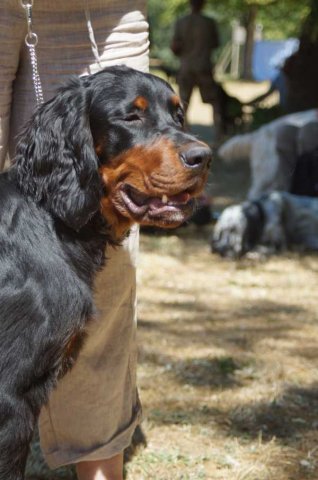 Sommertreffen2018