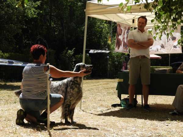 Sommertreffen2018