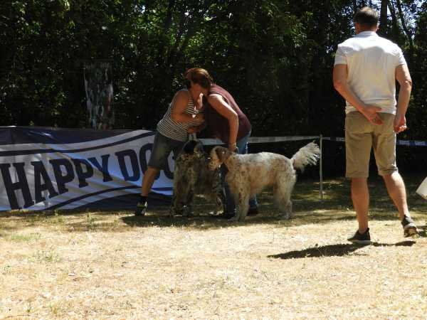 Sommertreffen2018