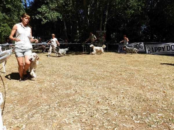 Sommertreffen2018