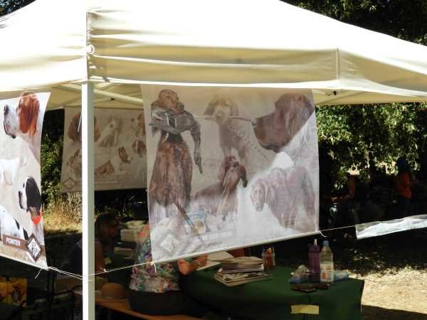 Sommertreffen2018